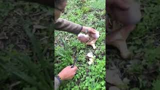 Sevilay Hanımdan Körek Show Bodrum Sizden Gelenler Ömer Yağlıdere Sevilay Yağlıdere