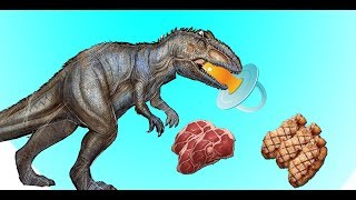 HOW TO FEED YOUR BABY GIGAS! ( EASIEST WAY)
