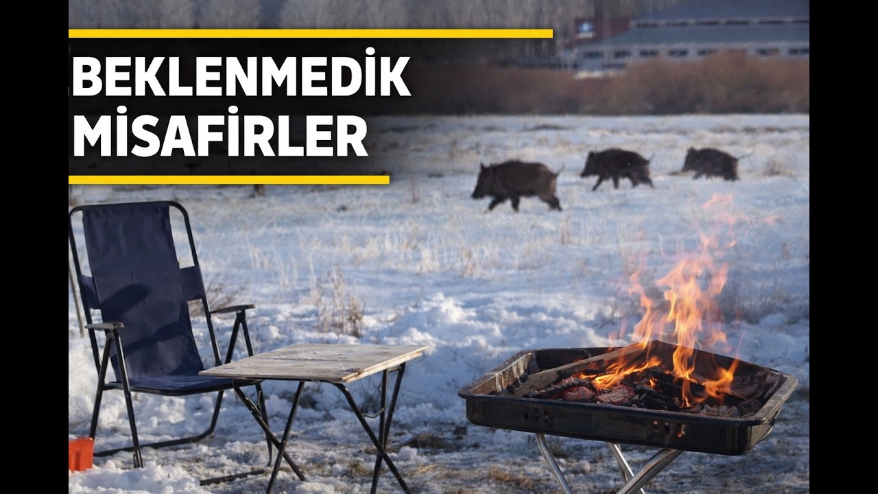 İftar İçin Sucuk Yaparken Yaban Domuzları Geçti