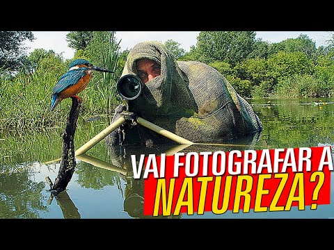 Vídeo: Como Fotografar A Natureza