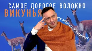 ВИКУНЬЯ, САМОЕ ДОРОГОЕ В МИРЕ ВОЛОКНО ИЛИ, ЧТО ПОДАРИТЬ ПРЕЗИДЕНТУ?