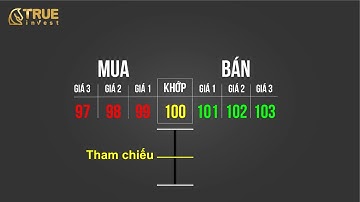 CỰC KỲ DỄ HIỂU: CÁCH ĐỌC BẢNG GIÁ CHỨNG KHOÁN - HỌC CHỨNG KHOÁN CƠ BẢN CÙNG TRUE INVEST
