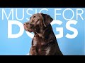 MUSIC FOR DOGS! How to Relax Your Dog with Calming Music! 2021