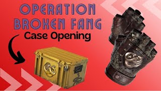 Operation Broken Fang Case Opening