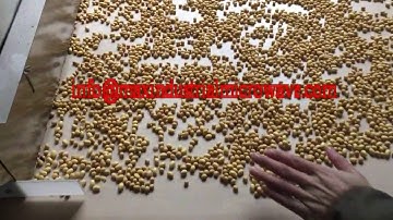 Soybean Microwave Roasting Machine