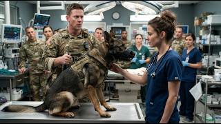 The Quiet Nurse Everyone Ignored Had a Military Secret — Then the K9 Chose Her Over His Handler