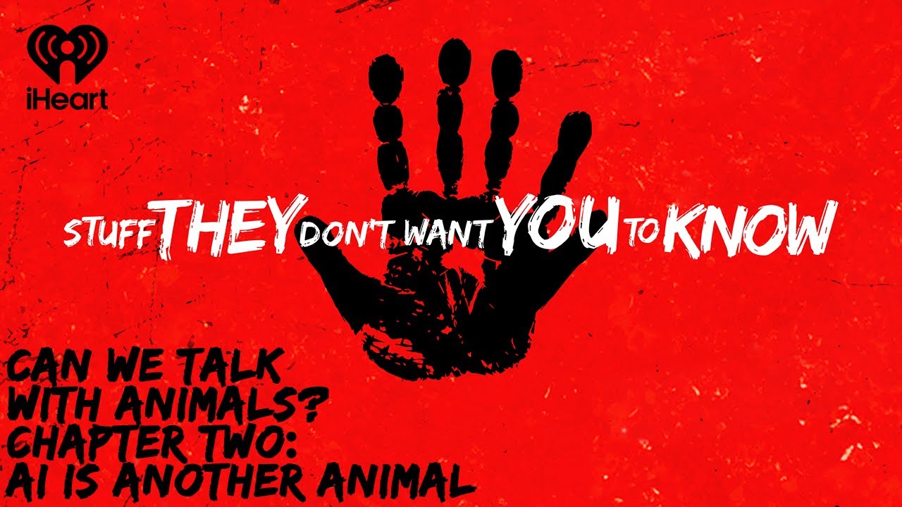 Can We Talk With Animals? Chapter Two: AI is Another Animal | STUFF ...