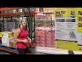 SNAP theft drives increased demand at Lynchburg food pantries