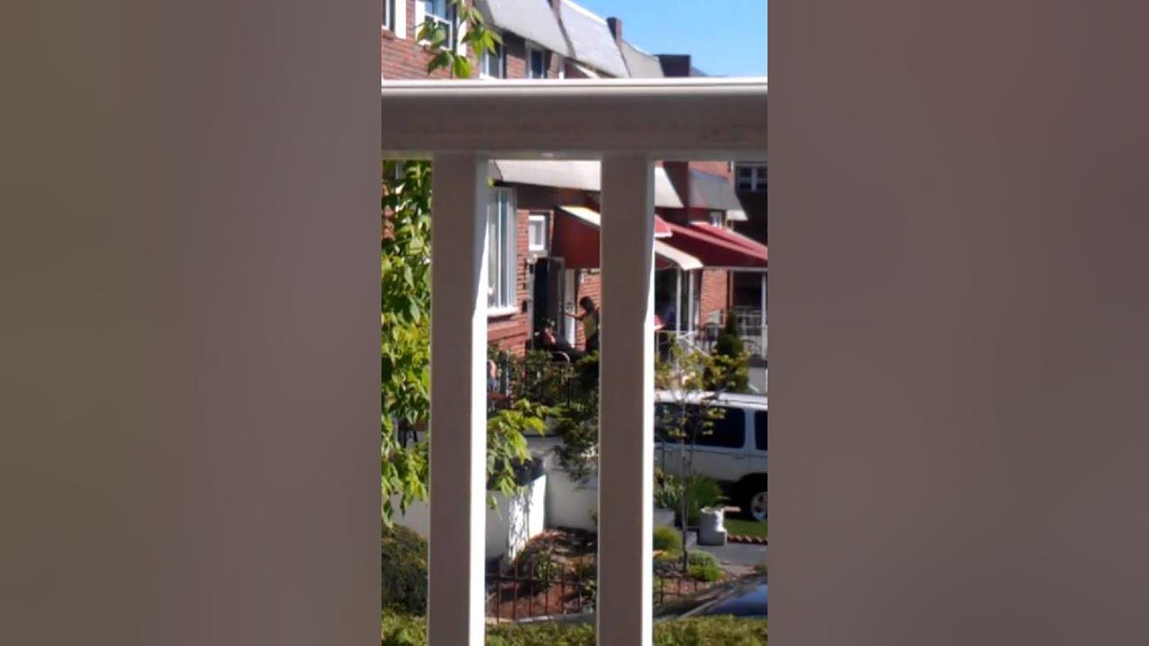 Neighbors yelling YouTube