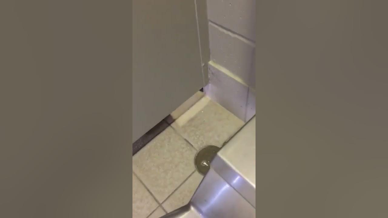 Man Secretly Filming Women In Public Bathroom Caught On Camera Youtube