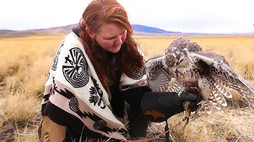 Falconry: Which species is the best first bird?