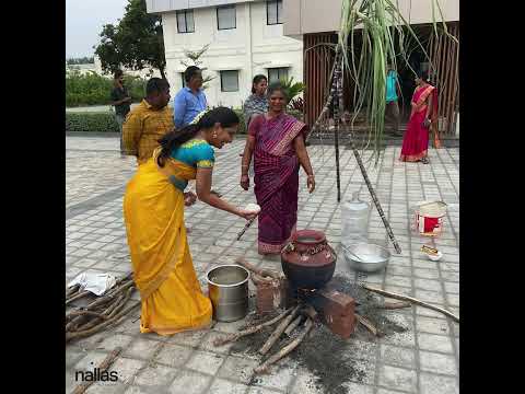 Pongal Celebration at Nallas - video from Nallas