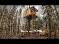 Building my enormous tree house jawdropping window  epic roof