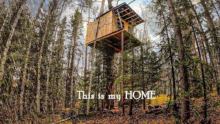 Building My Enormous Tree House: Jaw-Dropping Window & Epic Roof
