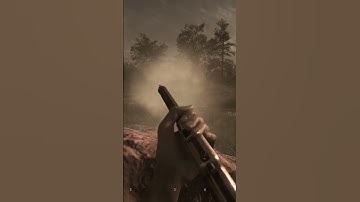 Fighting Red shirt at the swamp on A twisted path to renown.