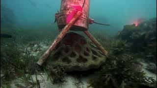 2025 03 11 N U09 edited mp4 0017520 stingray transient