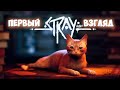 Stray - Cамая Милая Игра Про Кота - Первый Взгляд