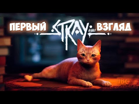 Видео: Stray - Cамая Милая Игра Про Кота - Первый Взгляд