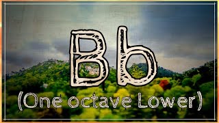 Bb Drone For Musical Practice & Meditation