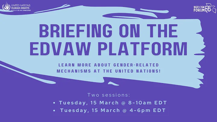 Briefing on the EDVAW Platform (Session 1) | NGO CSW66 Forum
