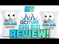 GCI Cool Blue; Should You Buy It??? #CoolBlue #GCIturf #LawnReview