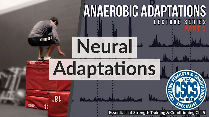 Neural Adaptations to Anaerobic Training | CSCS Chapter 5 (Henneman's Size Principle)