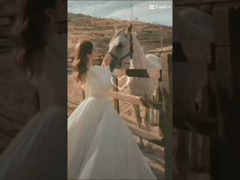 جمالك غير شي ثاني عبدالله ال فروان