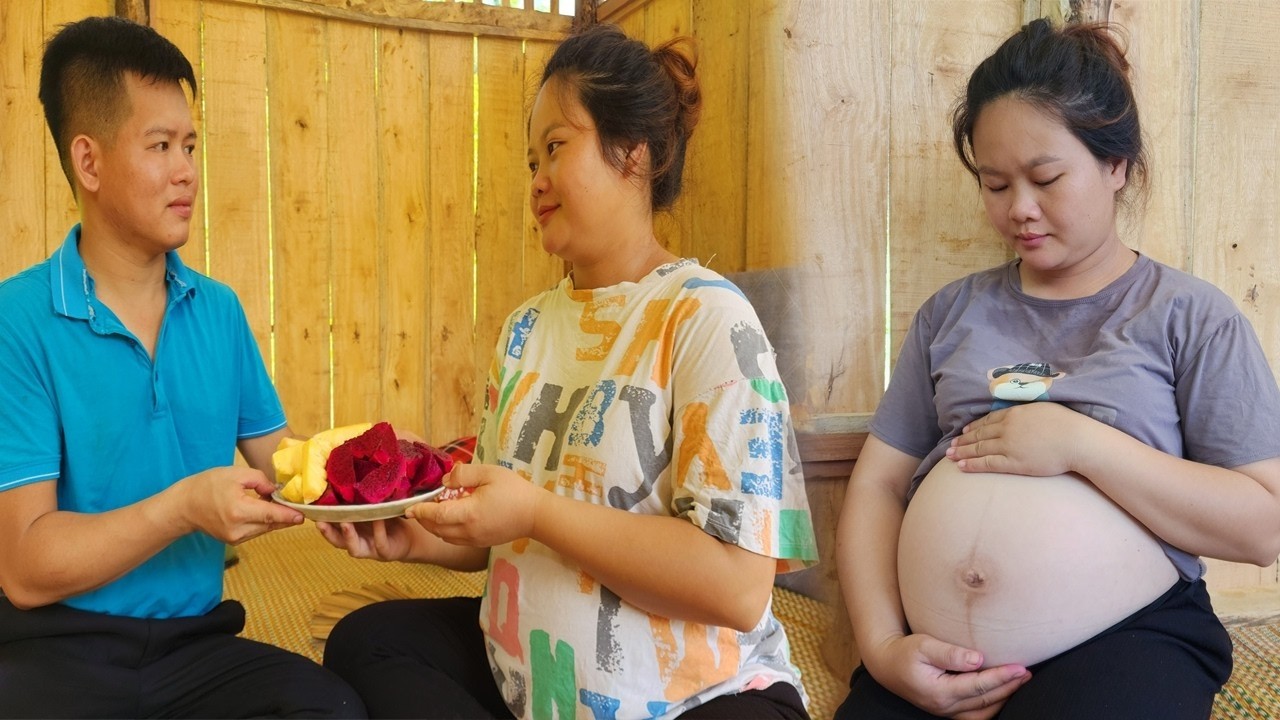 TIMELAPSE: Pregnant mom harvest avocado to market to sell - building a new life with her husband