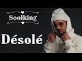 Soolking Feat Leto Désolé EXCLUSIVE Audio Music