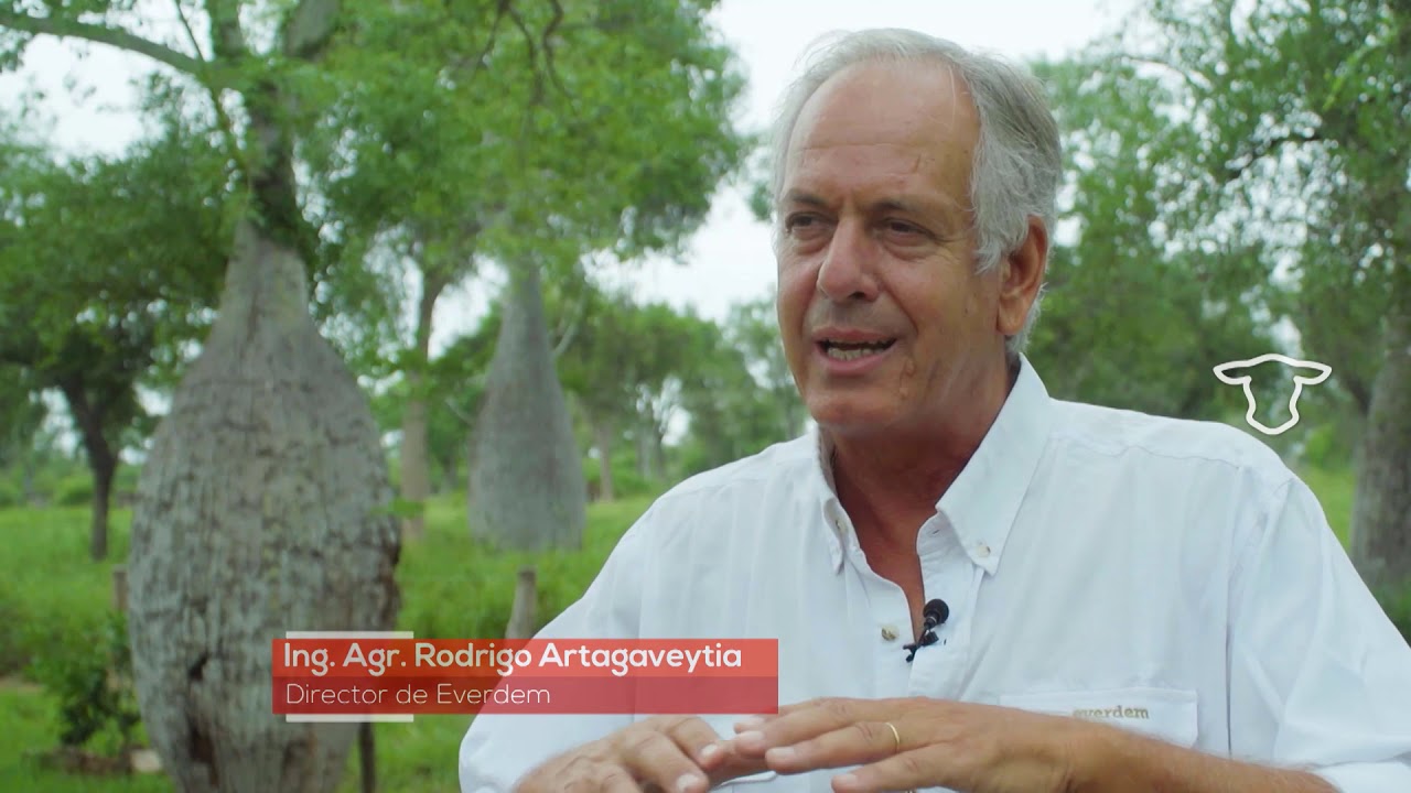 Calidad Ganadera - Everdem P1
