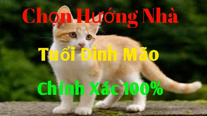 Tuổi đinh mão hợp với hướng nhà nào năm 2024