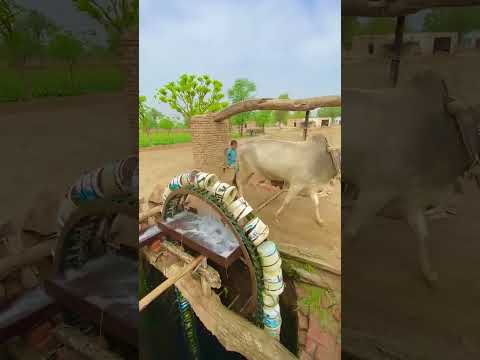 village life coming soon