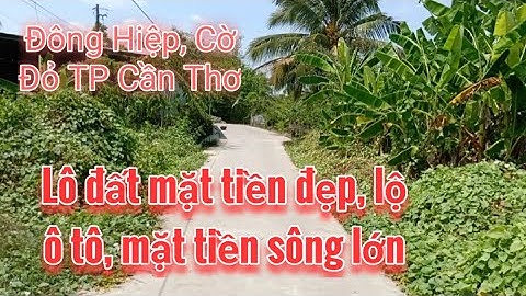 (Đã Bán) Bán Đất Thổ Cư 300m2, 585m2 CLN, Tổng 17000m2, Giá 200 Triệu/1000m2 @nhadatcanthomientay