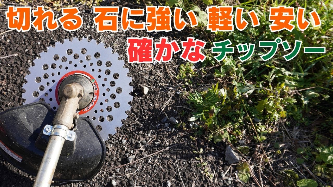【裁断済み】野草 薬草 サバイバル 自給自足 自然農 など ２３冊セット 裁断済み】野草 薬草 サバイバル 自給自足 自然農 など 23冊セット