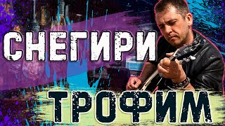 Трофим Снегири (cover by Roman Yudanov)