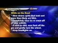 Did You Know With Jill: Winter Driving Tips