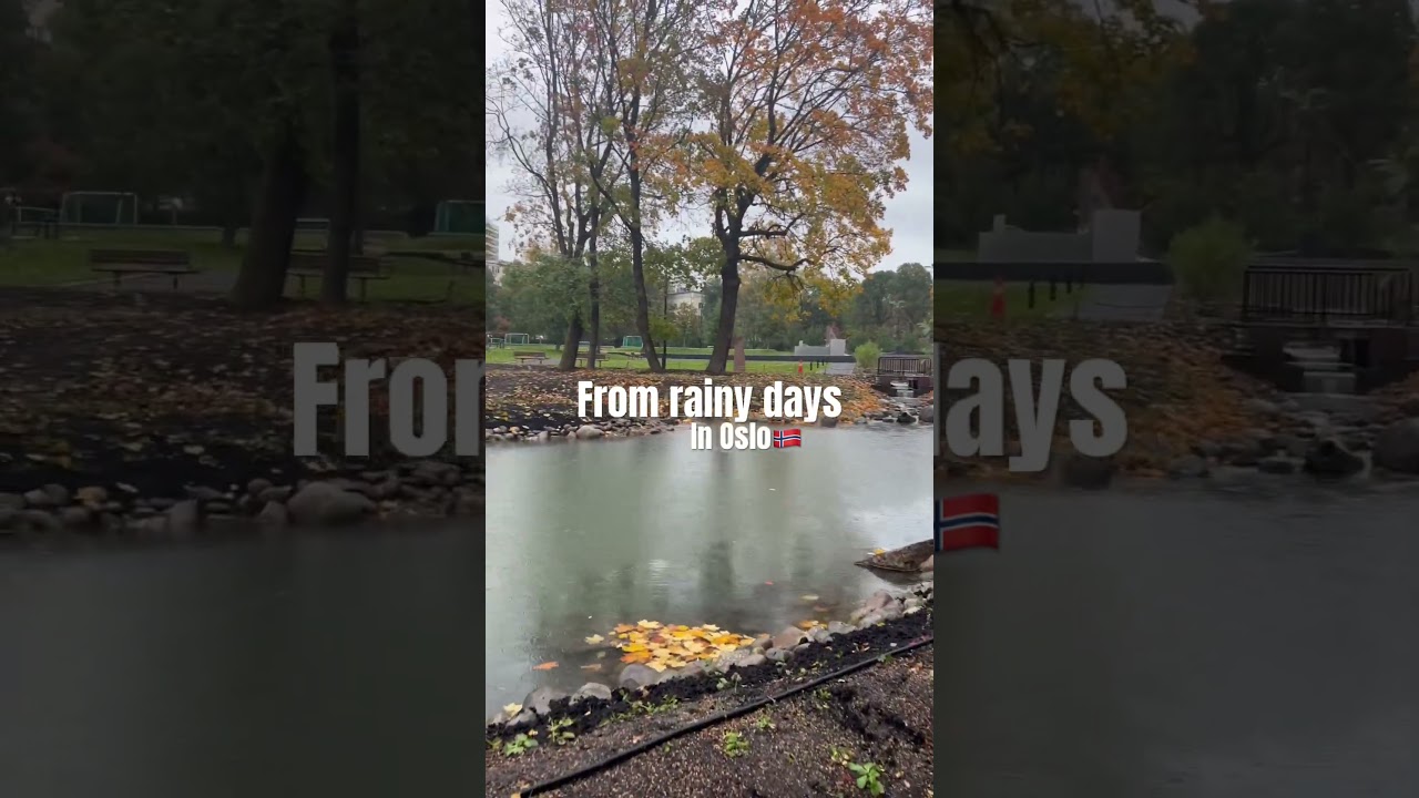 FROM RAINY DAYS IN OSLO🇳🇴 