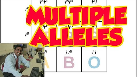 MULTIPLE ALLELES | TAMIL EXPLANATION | BLOOD GROUP GENOTYPE