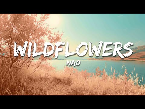 Nao Wildflowers Lyrics 