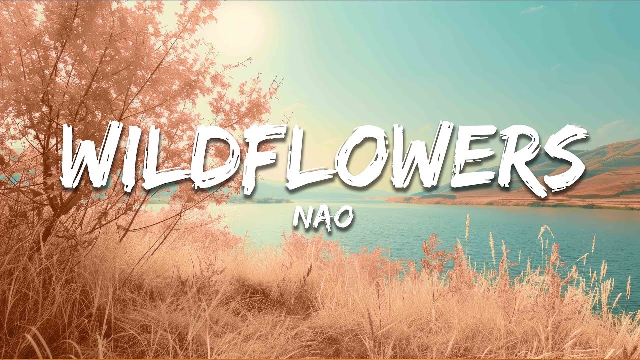 Nao - Wildflowers (Lyrics)