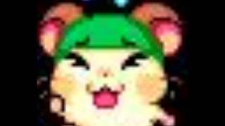 Hamtaro dance video.wmv