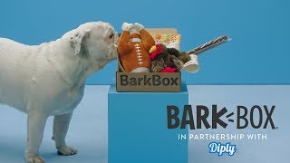 BarkBox Monthly Surprise For Your Dog | Diply