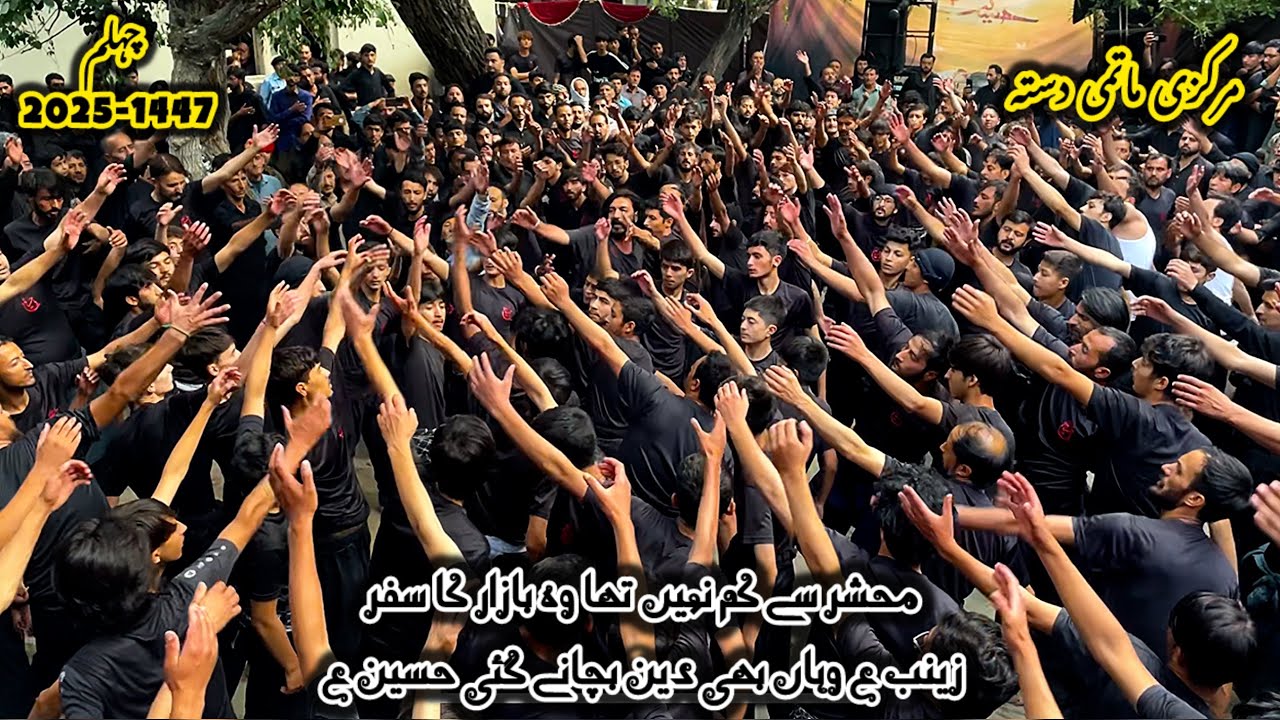 Urdu Noha Chehlum 2025 MEHSHAR SE KM NHI THA || Markazi Matami Dasta Mehdiabad Chehlum 2025