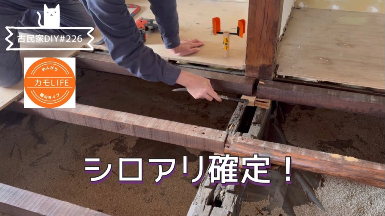 【古民家DIY】#226 【悲報】3年前に直した床…シロアリ再発でした