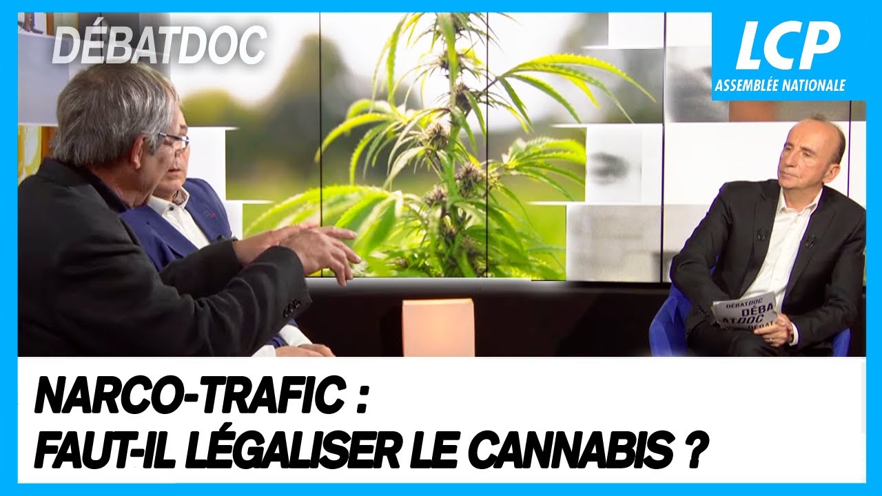 Narco-trafic : faut-il légaliser le cannabis ? | Les débats de Débatdoc