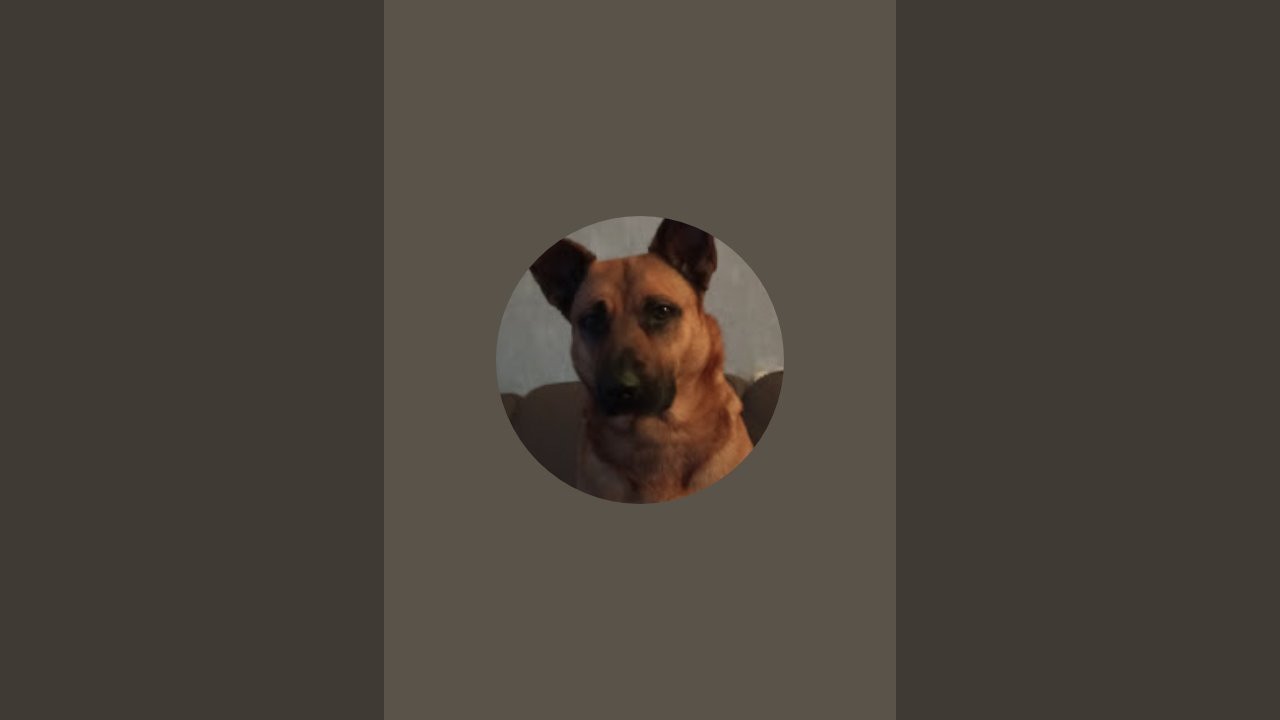 Elfi H. überträgt einen Livestream.