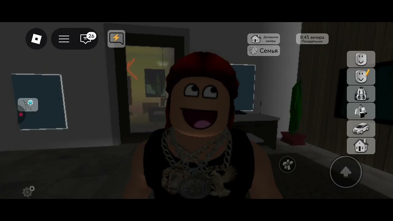 РП брукхевен