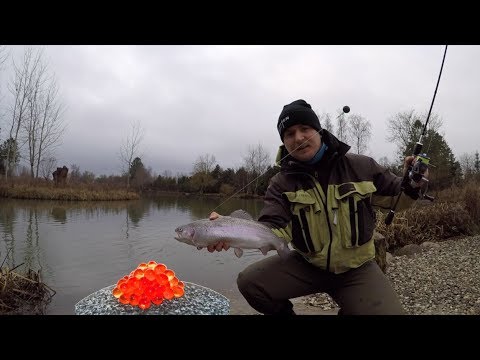 Video: Sådan Fanges Fisk Om Vinteren