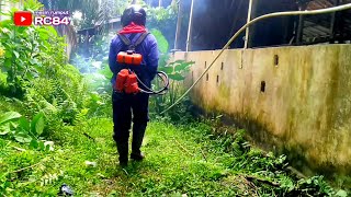 Sore Hari Potong rumput di Lingkungan Pesantren  1 Juni 2024