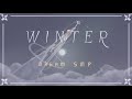 Winter Dream SMP Animation